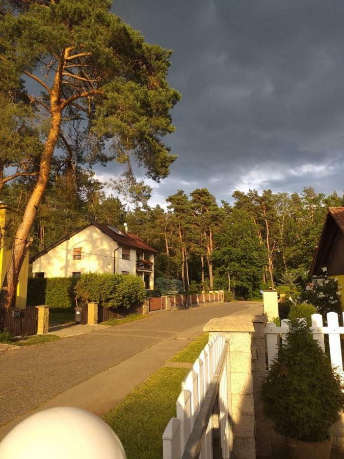 Vila Terezie Stare Splavy Exterior photo